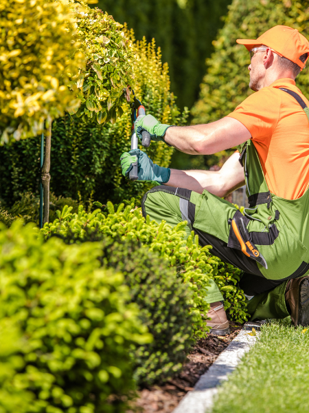 Entretien de jardin 1